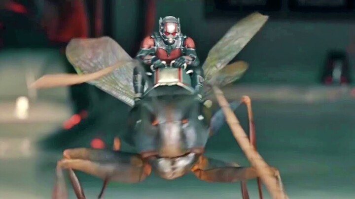 Ant-Man (2015) - Ant-Man vs Falcon - Fight Scene - Movie CLIP