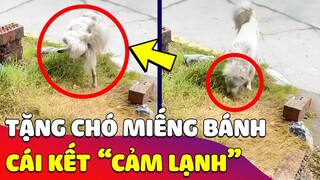 Thanh niên RỦ LÒNG THƯƠNG cho chú Chó miếng BÁNH BAO, Chó ta đến ngửi rồi TÈ LUÔN VÀO NÓ 🤣 Gâu Đần