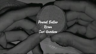 Camilan Roma Sari Gandum Sandwich Peanut Butter