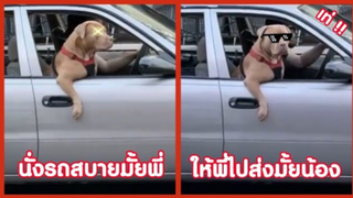 รวมคลิปตลก : ให้พี่หมาไปส่งไหมน้องสาว