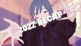 2022 Recap [Achylz Highlights]