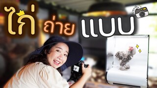 ไก่ถ่ายแบบ (ไก่ยักษ์บราห์ม่า) EP.253