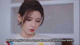 A Beautiful Lie Sub Indo Episode 25