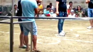 my 9Months old ZONDI BULIK VS. 3YEAR old Binabae