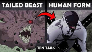 All Tailed Beasts In Human Form