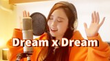 [Ainai Rina] Serial duet penyanyi asli - "Dream X Dream" Detektif Conan Lagu tema The Magician of Si