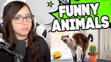 Bunnymon REACTS to Funny Animal Videos 2022 😂