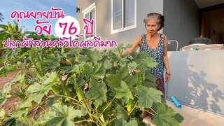 คุณยายวัย 76 ปี ปลูกผักสวนครัวได้ผลดีมาก