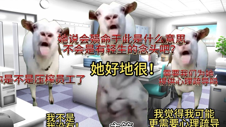 【猫meme】入职一年成为领导心腹大患