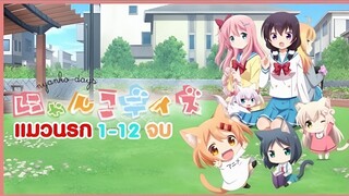 แมวนรก สยบดุ้น !! 1-12 ตอนจบ ( Nyanko Days พากย์นรก )