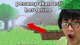 Penampakan Asli Herobrine di Minecraft...😱