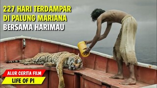 BERTAHAN HIDUP DITENGAH LAUT BERSAMA HARIMAU BUAS | ALUR CERITA FILM LIFE OF PI