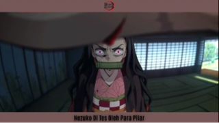 Nezuko Di Tes Oleh Para Pilar