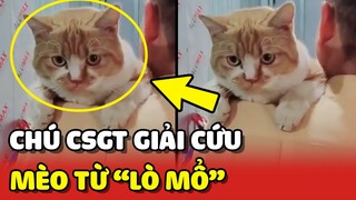 Chú Cảnh Sát Giao Thông đáng yêu, GIẢI CỨU thành công bé mèo từ LÒ MỔ ❤️ | Yêu Lu