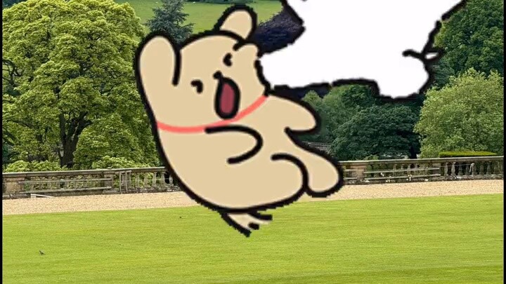 Dog Kingdom