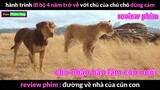 phim Cực Hay về Chú Chó Trung Thành - review phim Đường Về Nhà Của Cún Con