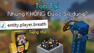 Những Thứ Tồn Tại Nhưng KHÔNG ĐƯỢC Sử Dụng Trong Minecraft - Âm Thanh Người Chơi THỞ?