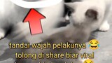 warga netizen minta bantuan nya semua