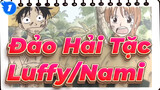 [Đảo Hải Tặc] Tình bạn Luffy & Nami_1