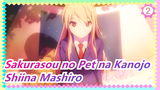 Sakurasou no Pet na Kanojo/Tak Pernah Menyesal Mencintai Mashiro & Kan Terus Cinta Dia Selamanya!_2