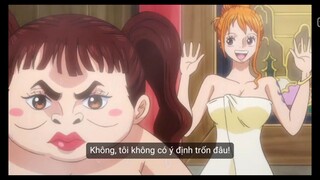 vũ khí lợi hại của nami