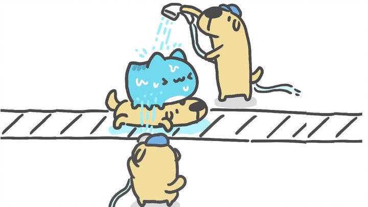 Kapo comes to experience the fully automatic dog bathing factory