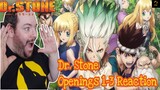 DR. STONE Openings 1-3  BLIND REACTION! || Anime OP Reaction /Looks interesting with banging songs