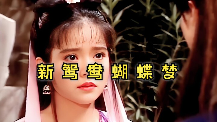 1993《包青天》 新鸳鸯蝴蝶梦 - 黄安