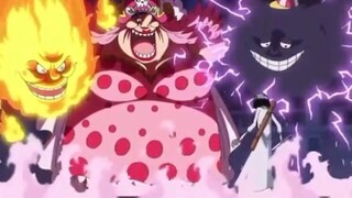 Raja bajak laut aja dianggap rookie,apalagi big mom☠️😈