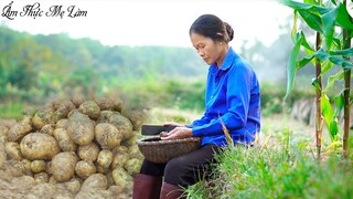 Trồng khoai tây, mẹ làm các món ngon từ khoai tây ( Dishes From Potatoes ) I Ẩm Thực Mẹ Làm