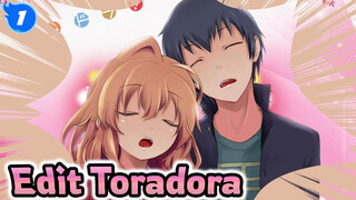 Toradora, Karya Pindahan Yang Biasa Namun Langka (Bagian 2)_1