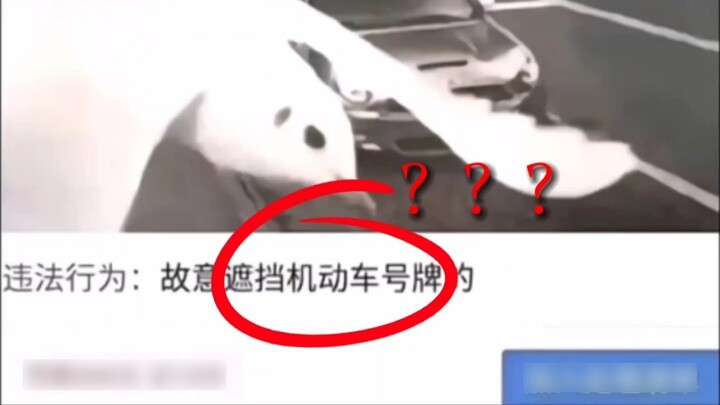 [Hình phạt lái xe kỳ lạ] “Điều này thực sự không công bằng, nhưng nó không ngăn được tôi cười.”