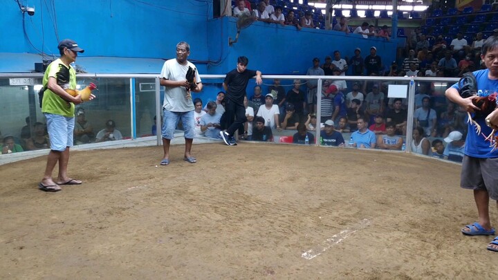 boston roundhead cross 3 x winner labanan ng baldado old marilao