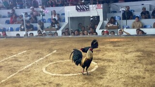 AP hennie vs 100k parada kalaban