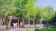 Chú gấu bông kỳ diệu EP 14 [Sub Việt]