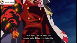 Nếu Sengoku không cản Garp và Bố Già còn khoẻ thì  #luffy #onepiece #anime #ace