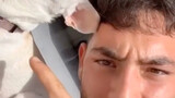 "Tantangan menyodok anjing" dipicu oleh video "bunuh diri" seorang pemuda