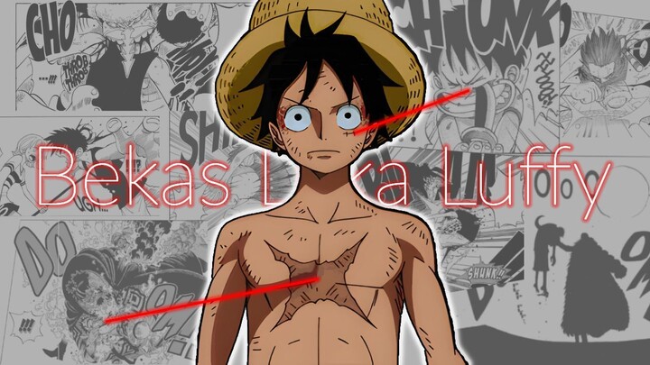 Semua bekas luka luffy kalau di gambar sama oda