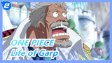 ONE PIECE| Life of Garp who is a hero of Marine_2