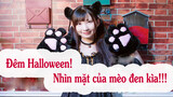 Đêm Halloween! Nhìn mặt của mèo đen kìa!!!
