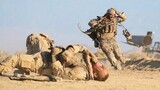 Two American Soldiers Pinned Down by an Iraqi Sniper, Seeking Shelter Behind an Unsteady Wall