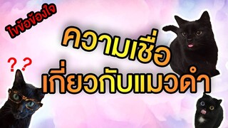 EP17 : ไขข้อข้องใจ? ความเชื่อเกี่ยวกับแมวดำ