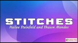 HAILEE STEINFELD AND SHAWN MENDES - STITCHES LYRICS