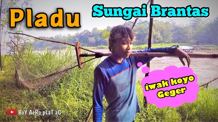 CARI IKAN DI SUNGAI BRANTAS | di PLADU
