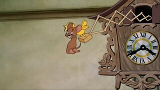 Tom and Jerry | Buddies and Lifes Compilation
