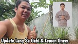 Buhay Probinsya ~ Update Sa Akin Pag Tanim Ng Gabi & Lemon Grass (Shout Out Pala Kang @CongTv)