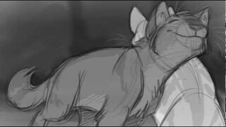 Warriors - Graystripe and Silverstream