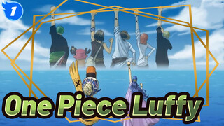 Họ là cộng sự của Luffy |One Piece_1