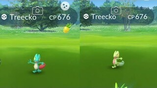 Dual Apps Showdown - Trainer Kids vs Main Trainer in community day