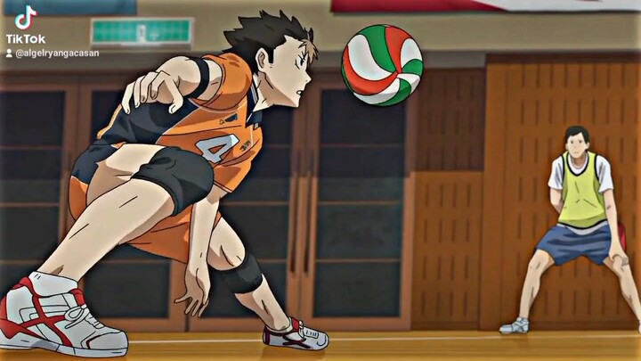 Sauce:Haikyuu